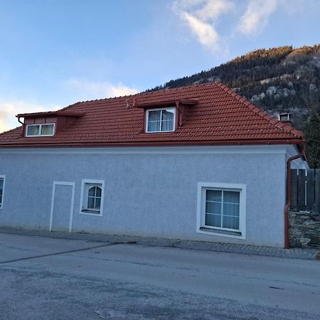 Apartamento Haus Steiner Teufenbach  Exterior foto